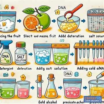 การสกัดดีเอ็นเอจากผลไม้